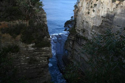 Cruise Ship Special From Port Arthur: Explore Tasman Peninsula With Free WiFi - Hotel Accommodation 1