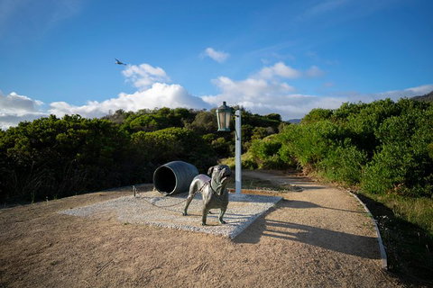 Cruise Ship Special From Port Arthur: Explore Tasman Peninsula With Free WiFi - Hotel Accommodation 9