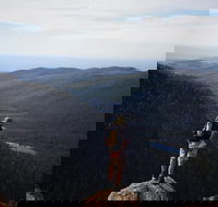 Mount Field National Park - Tarn Shelf  Russell Falls - Guided Hiking Tour - Hotel Accommodation