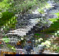 Mt Field National Park and Russell Falls from Hobart - Hotel Accommodation