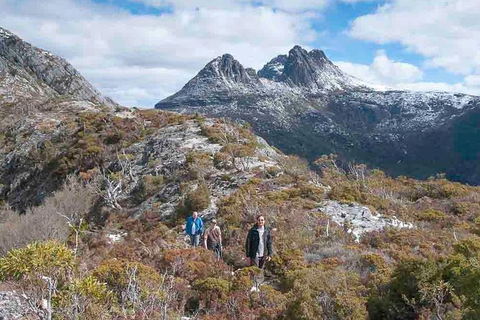 5-Day Tasmania West Coast Camping Tour: Hobart To Launceston Including Mount Field National Park, Tarkine And Cradle Mountain - Hotel Accommodation 0