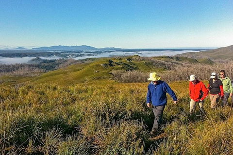 5-Day Tasmania West Coast Camping Tour: Hobart To Launceston Including Mount Field National Park, Tarkine And Cradle Mountain - Hotel Accommodation 1