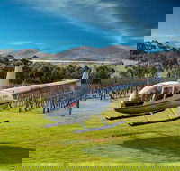 Frogmore Creek Winery by Helicopter with Lunch - Hotel Accommodation