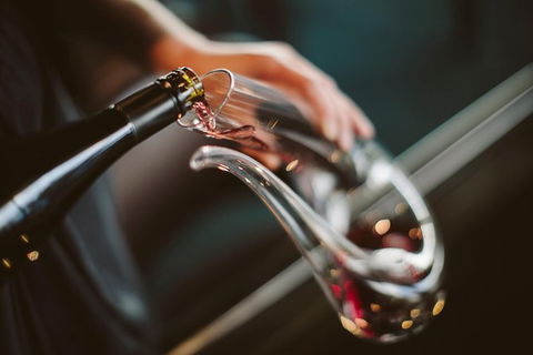 Private Moorilla Estate Tour Including Cellar Door Tasting Of Vintage Wines - Hotel Accommodation 1