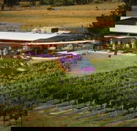 Home Hill Winery Helicopter Tour - Hotel Accommodation