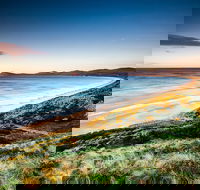 Full-Day Guided Bruny Island Tour from Hobart - Hotel Accommodation