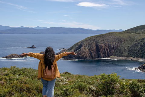 Full-Day Guided Bruny Island Tour From Hobart - Hotel Accommodation 7