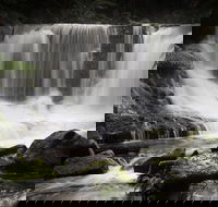 Mt Field National Park premium private photo-oriented day tour from Hobart - Hotel Accommodation