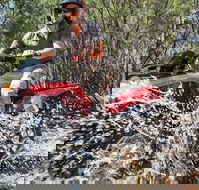 Quad Bike 2-Hour Adventure Freycinet National Park - Hotel Accommodation