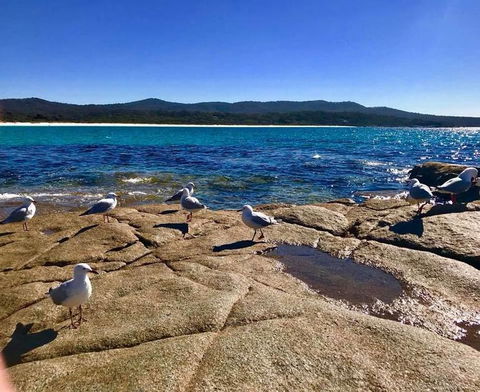 5-Day Lap Of Tasmania Tour From Hobart (flexible Ticket) - Hotel Accommodation 4