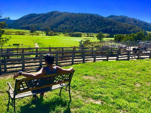 5-Day Lap Of Tasmania Tour From Hobart (flexible Ticket) - Hotel Accommodation 2