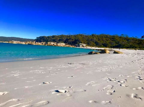 5-Day Lap Of Tasmania Tour From Hobart (flexible Ticket) - Hotel Accommodation 6