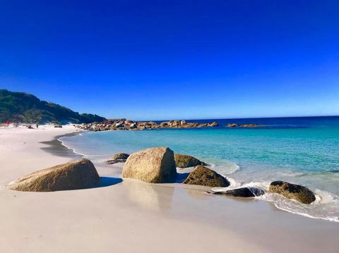 5-Day Lap Of Tasmania Tour From Hobart (flexible Ticket) - Hotel Accommodation 5