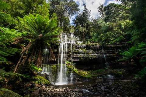5-Day Lap Of Tasmania Tour From Hobart (flexible Ticket) - Hotel Accommodation 11