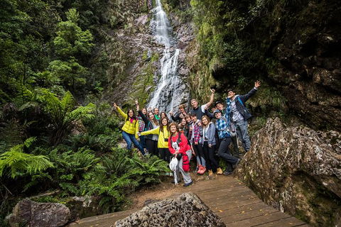 5-Day Lap Of Tasmania Tour From Hobart (flexible Ticket) - Hotel Accommodation 14