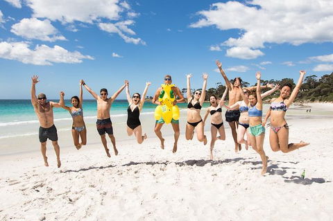 5-Day Lap Of Tasmania Tour From Hobart (flexible Ticket) - Hotel Accommodation 10