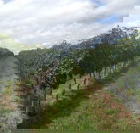 Coal River Valley  Hobart food  wine grazing tour - Hotel Accommodation