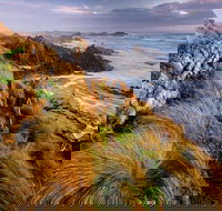 4-Day Tarkine Wilderness Photography Workshop