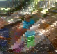 Unguided Family Llama Walk