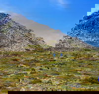 3-Day Hobart Adventure Tour Mount Field Cape Hauy and Hartz Peak - Hotel Accommodation