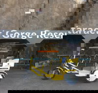 Launceston Cataract Gorge - Twilight wildlife local history walking tour.