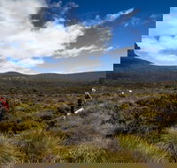 6-Day Overland Track PhotoTour