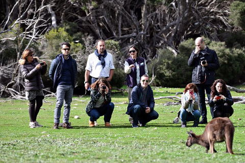 Small-Group Kangaroo Island 4WD Tour From Adelaide - Hotel Accommodation 3