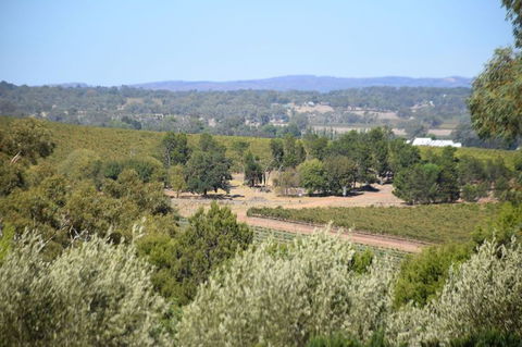 Barossa Valley Food And Wine Tour - Hotel Accommodation 2