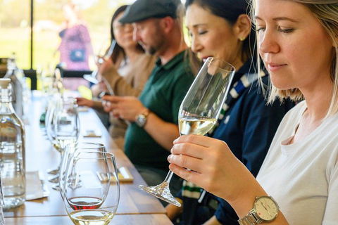Barossa Valley Food And Wine Tour - Hotel Accommodation 11