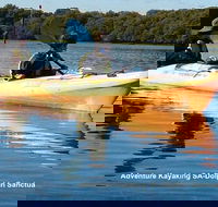 Adelaide Dolphin Sanctuary and Ships Graveyard Kayak Tour