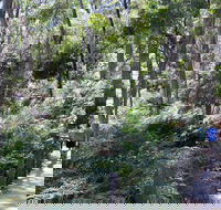 Self-Guided Waterfall Gully to Mount Lofty Hike from Adelaide