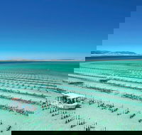 Coffin Bay Day Tour - A Taste of Coffin Bay - Hotel Accommodation