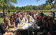 McLaren Vale Wine Tour - thumb 0