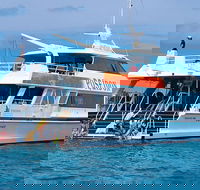 Poseidon Outer Great Barrier Reef Snorkeling and Diving Cruise from Port Douglas - Hotel Accommodation