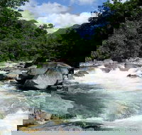 Daintree Rainforest Cape Tribulation Mossman Gorge in a day - Hotel Accommodation