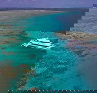 Silversonic Outer Great Barrier Reef Dive and Snorkel Cruise from Port Douglas - Hotel Accommodation