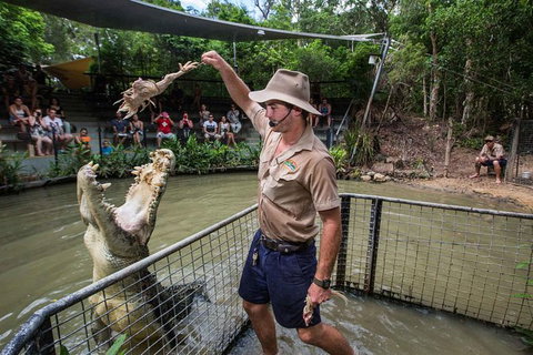 Full-Day Tour With Kuranda Scenic Railway, Skyrail Rainforest Cableway, And Hartley's Crocodile Adventures From Cairns - Hotel Accommodation 1
