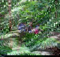 Full Day Daintree Rainforest and Mossman Gorge Tour - Hotel Accommodation