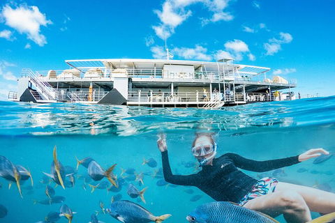 2-Day Great Barrier Reef Reefsleep Experience - Hotel Accommodation 8