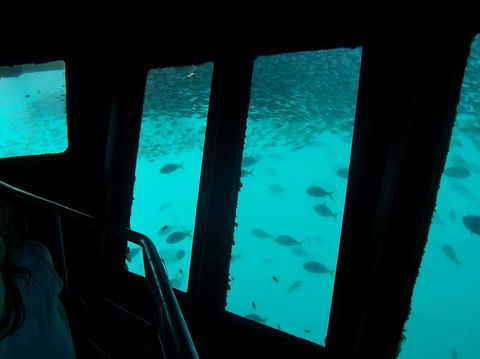 Great Barrier Reef Day Cruise To Reefworld - Hotel Accommodation 12
