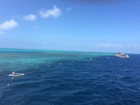 Great Barrier Reef Day Cruise To Reefworld - Hotel Accommodation 8