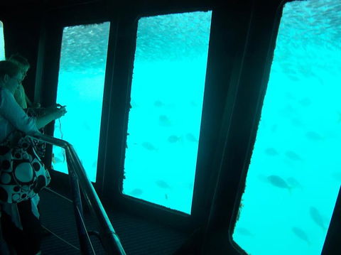 Great Barrier Reef Day Cruise To Reefworld - Hotel Accommodation 11