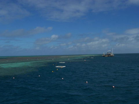 Great Barrier Reef Day Cruise To Reefworld - Hotel Accommodation 15