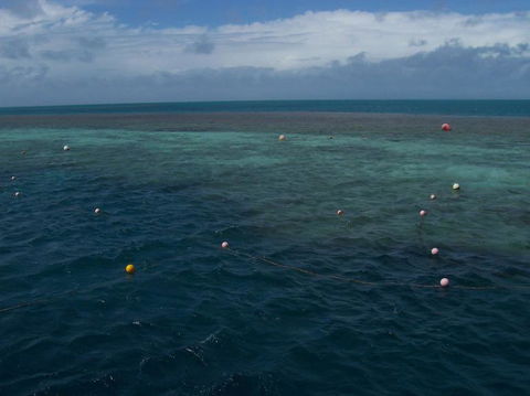 Great Barrier Reef Day Cruise To Reefworld - Hotel Accommodation 16