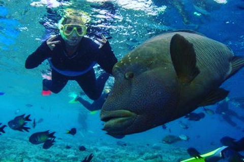 Great Barrier Reef Day Cruise To Reefworld - Hotel Accommodation 5