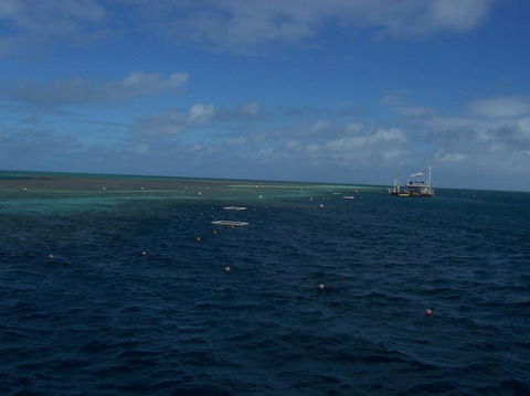 Great Barrier Reef Day Cruise To Reefworld - Hotel Accommodation 13