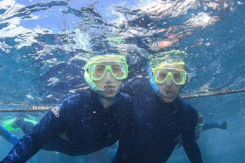 Great Barrier Reef Day Cruise To Reefworld - Hotel Accommodation 3