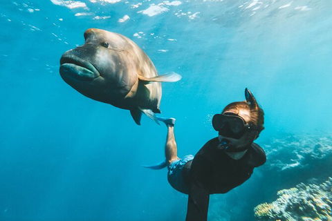 Great Barrier Reef Day Cruise To Reefworld - Hotel Accommodation 25