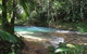 Daintree - Cape Tribulation & Atherton Tablelands Tours From Port Douglas - thumb 5