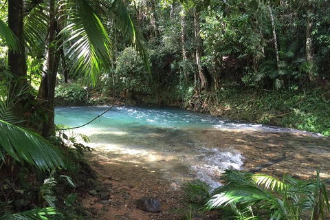 Daintree - Cape Tribulation & Atherton Tablelands Tours From Port Douglas - Hotel Accommodation 5